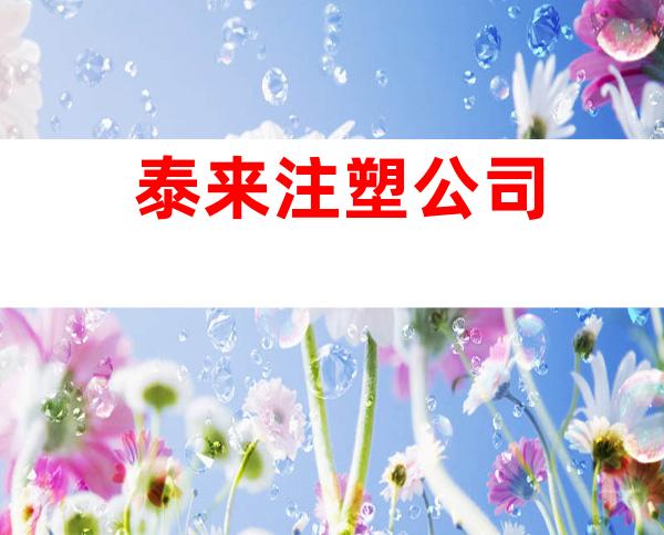 泰来注塑公司