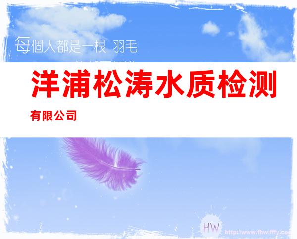 洋浦松涛水质检测有限公司