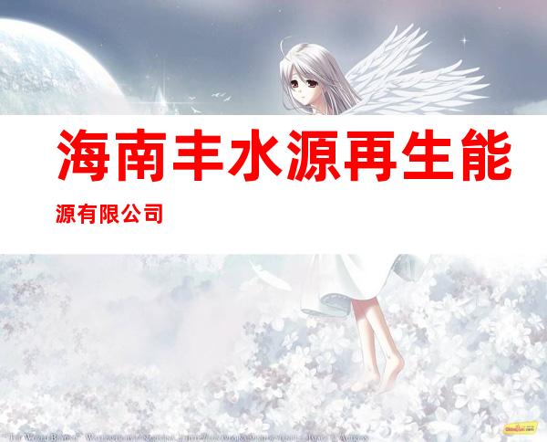 海南丰水源再生能源有限公司