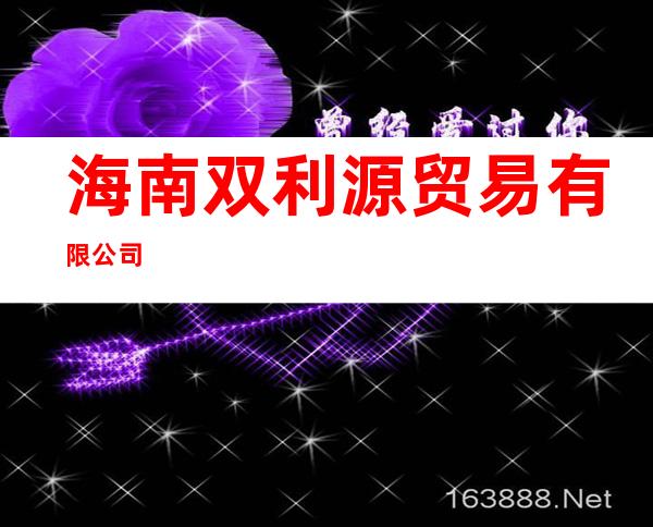 海南双利源贸易有限公司
