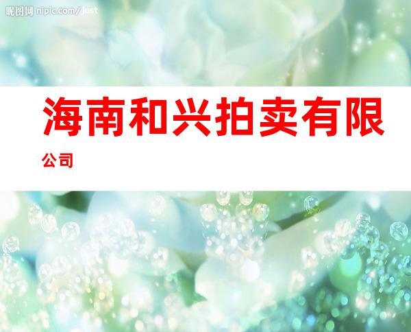 海南和兴拍卖有限公司