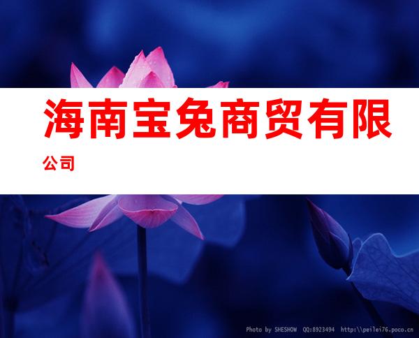 海南宝兔商贸有限公司