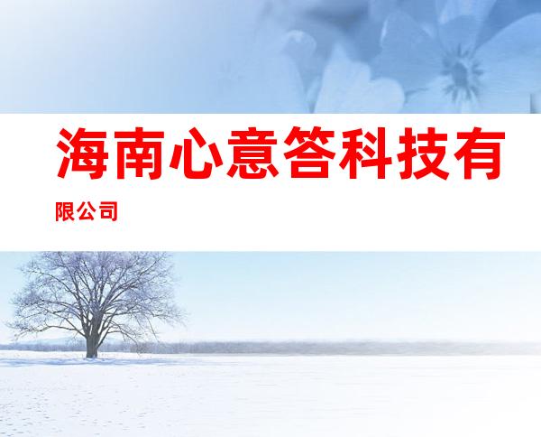 海南心意答科技有限公司