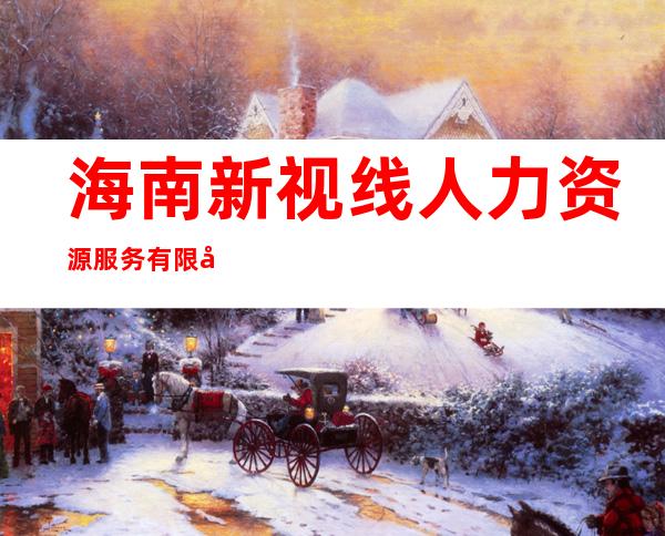 海南新视线人力资源服务有限公司