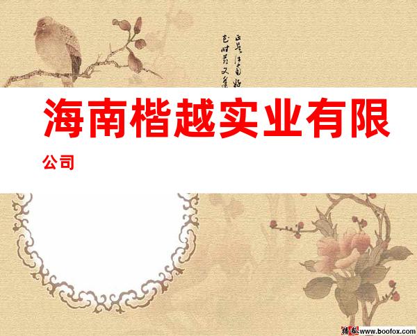 海南楷越实业有限公司