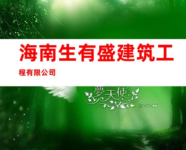 海南生有盛建筑工程有限公司