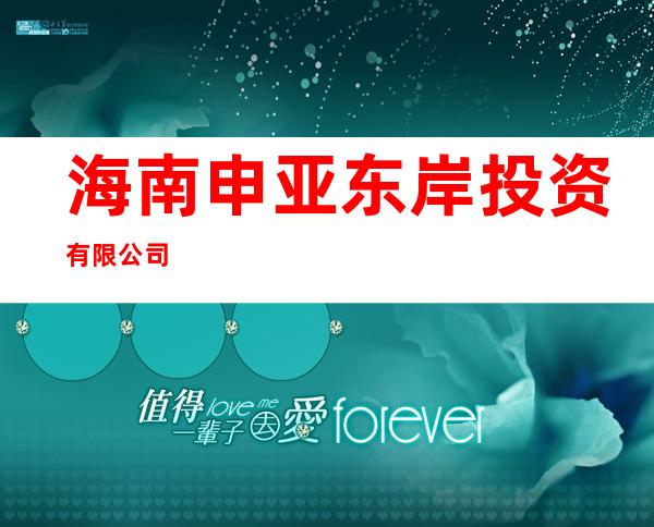 海南申亚东岸投资有限公司