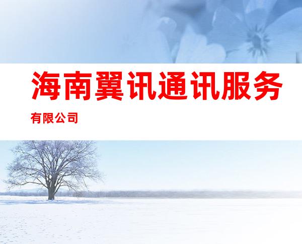海南翼讯通讯服务有限公司