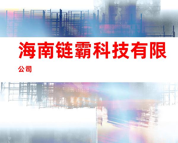 海南链霸科技有限公司