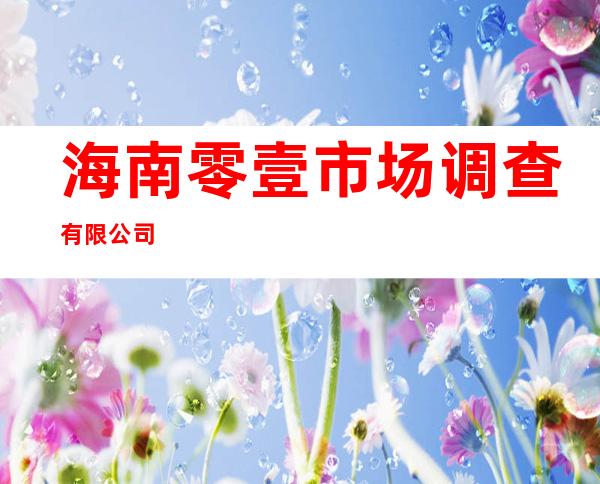 海南零壹市场调查有限公司