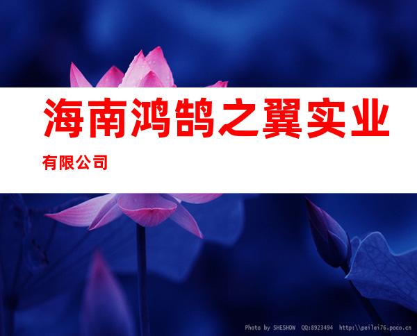 海南鸿鹄之翼实业有限公司