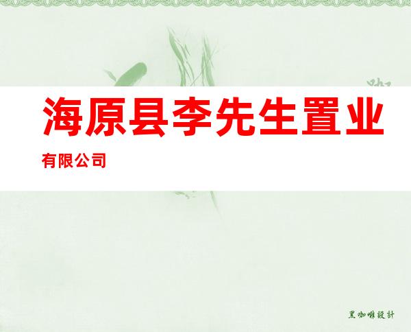 海原县李先生置业有限公司