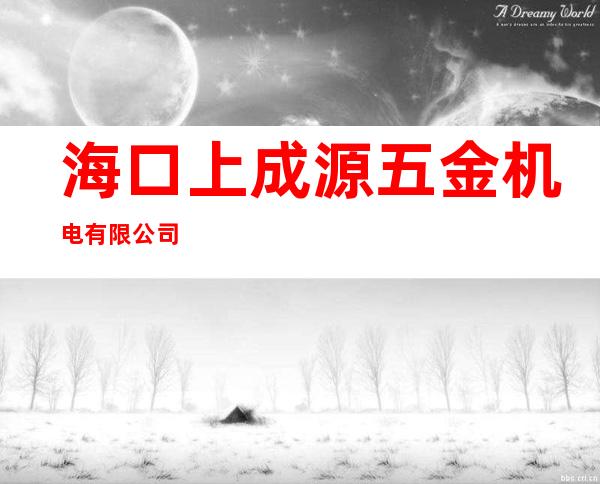 海口上成源五金机电有限公司