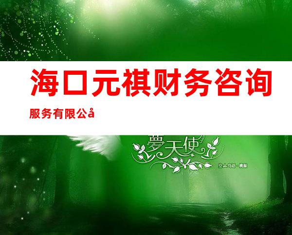 海口元祺财务咨询服务有限公司