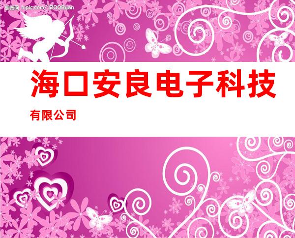海口安良电子科技有限公司