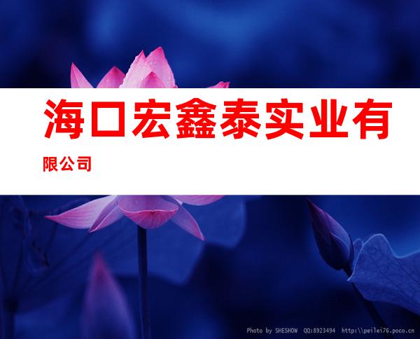 海口宏鑫泰实业有限公司