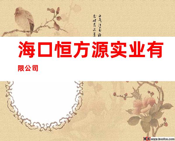 海口恒方源实业有限公司