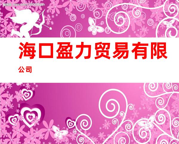 海口盈力贸易有限公司