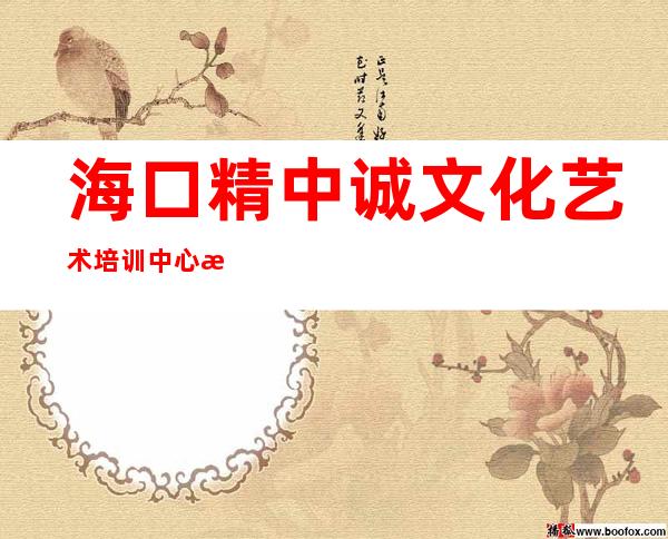 海口精中诚文化艺术培训中心有限公司鹏晖分公司
