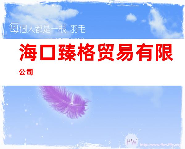 海口臻格贸易有限公司