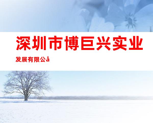 深圳市博巨兴实业发展有限公司