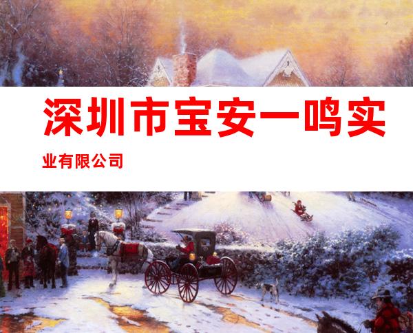 深圳市宝安一鸣实业有限公司