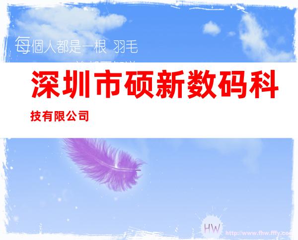 深圳市硕新数码科技有限公司