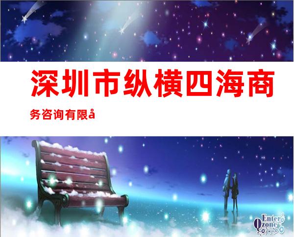 深圳市纵横四海商务咨询有限公司