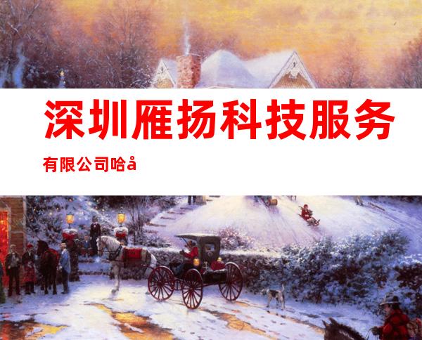 深圳雁扬科技服务有限公司哈尔滨分公司