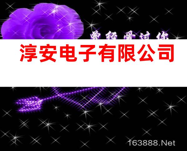淳安电子有限公司