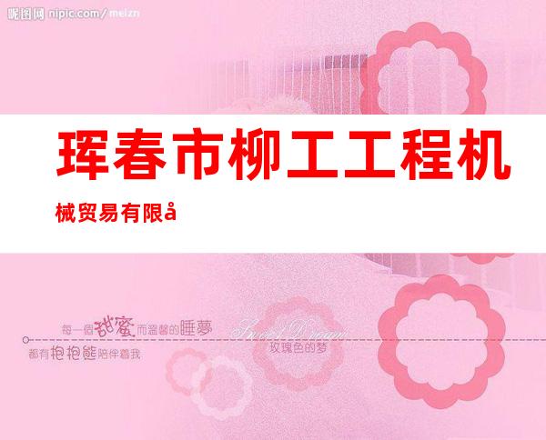 珲春市柳工工程机械贸易有限公司