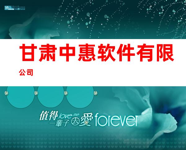 甘肃中惠软件有限公司