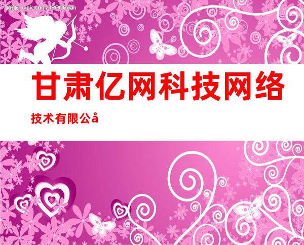 甘肃亿网科技网络技术有限公司