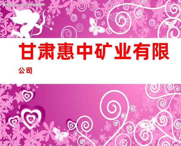 甘肃惠中矿业有限公司