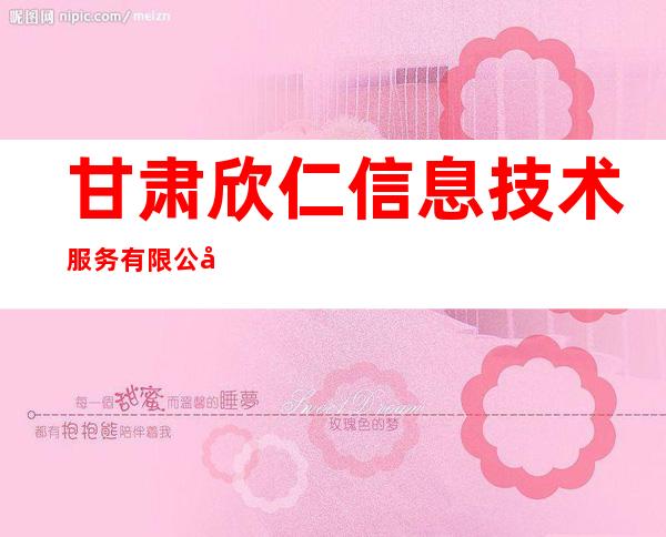 甘肃欣仁信息技术服务有限公司