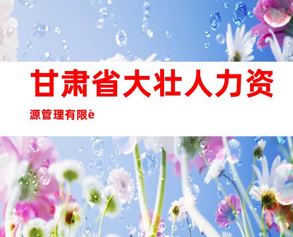 甘肃省大壮人力资源管理有限责任公司
