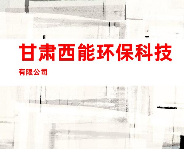 甘肃西能环保科技有限公司