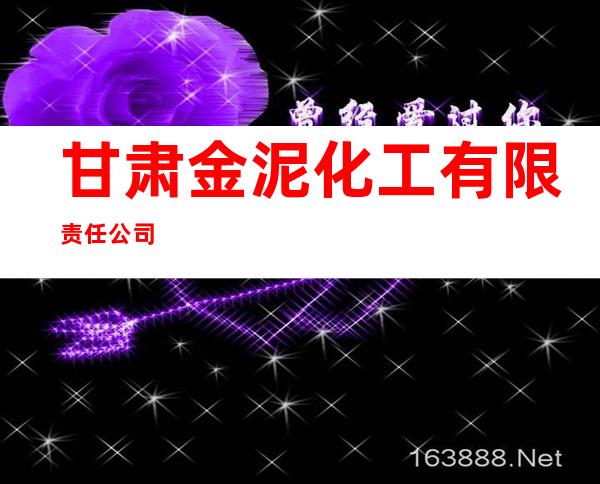 甘肃金泥化工有限责任公司