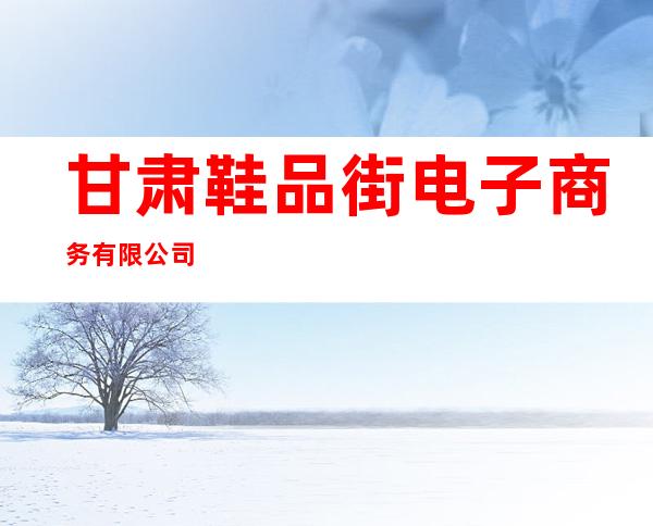 甘肃鞋品街电子商务有限公司