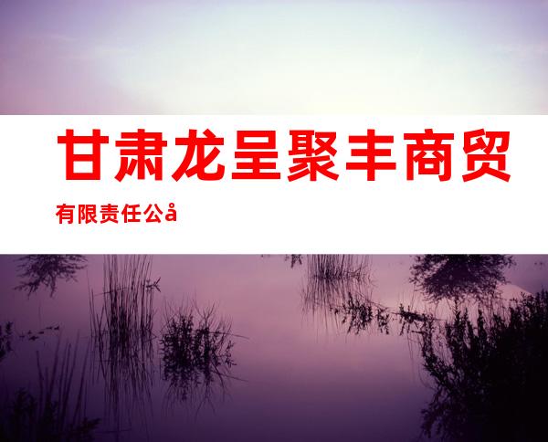 甘肃龙呈聚丰商贸有限责任公司