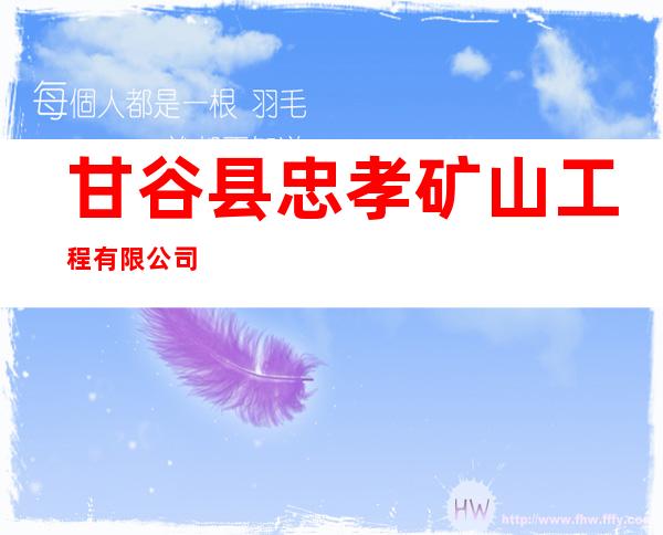 甘谷县忠孝矿山工程有限公司