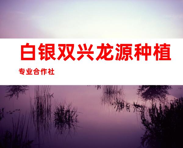 白银双兴龙源种植专业合作社