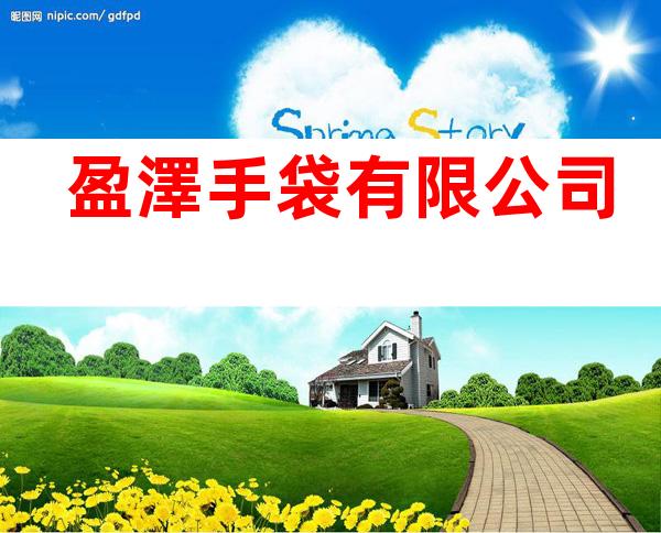 盈澤手袋有限公司