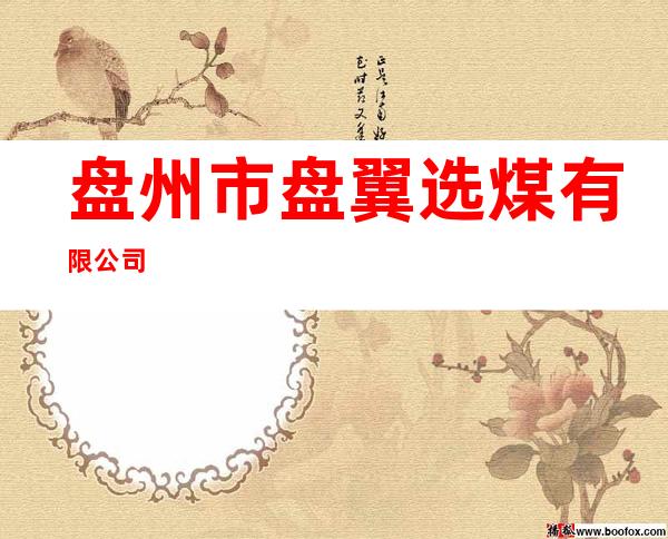 盘州市盘翼选煤有限公司