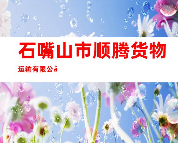 石嘴山市顺腾货物运输有限公司