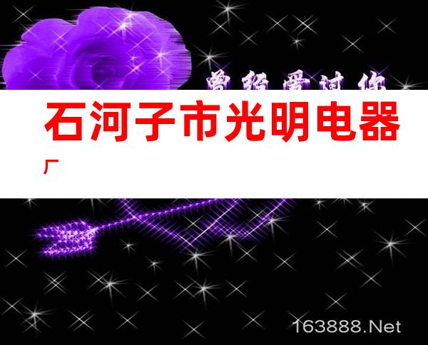 石河子市光明电器厂