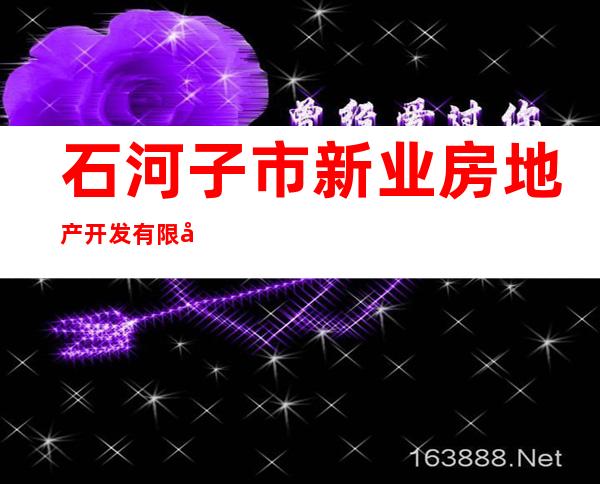 石河子市新业房地产开发有限公司