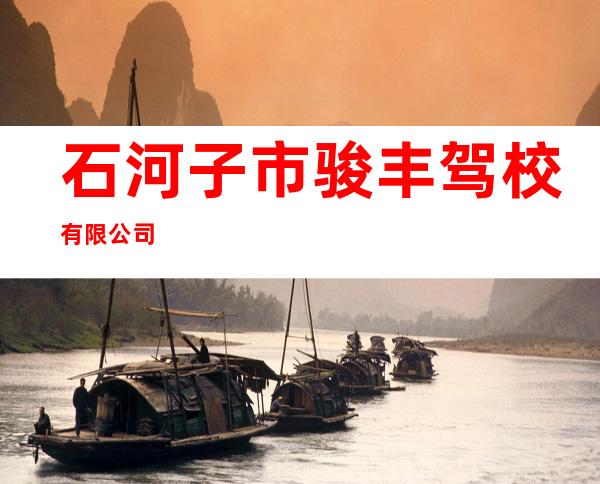 石河子市骏丰驾校有限公司