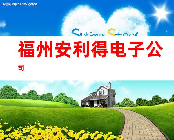 福州安利得电子公司