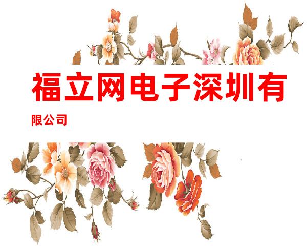 福立网电子深圳有限公司